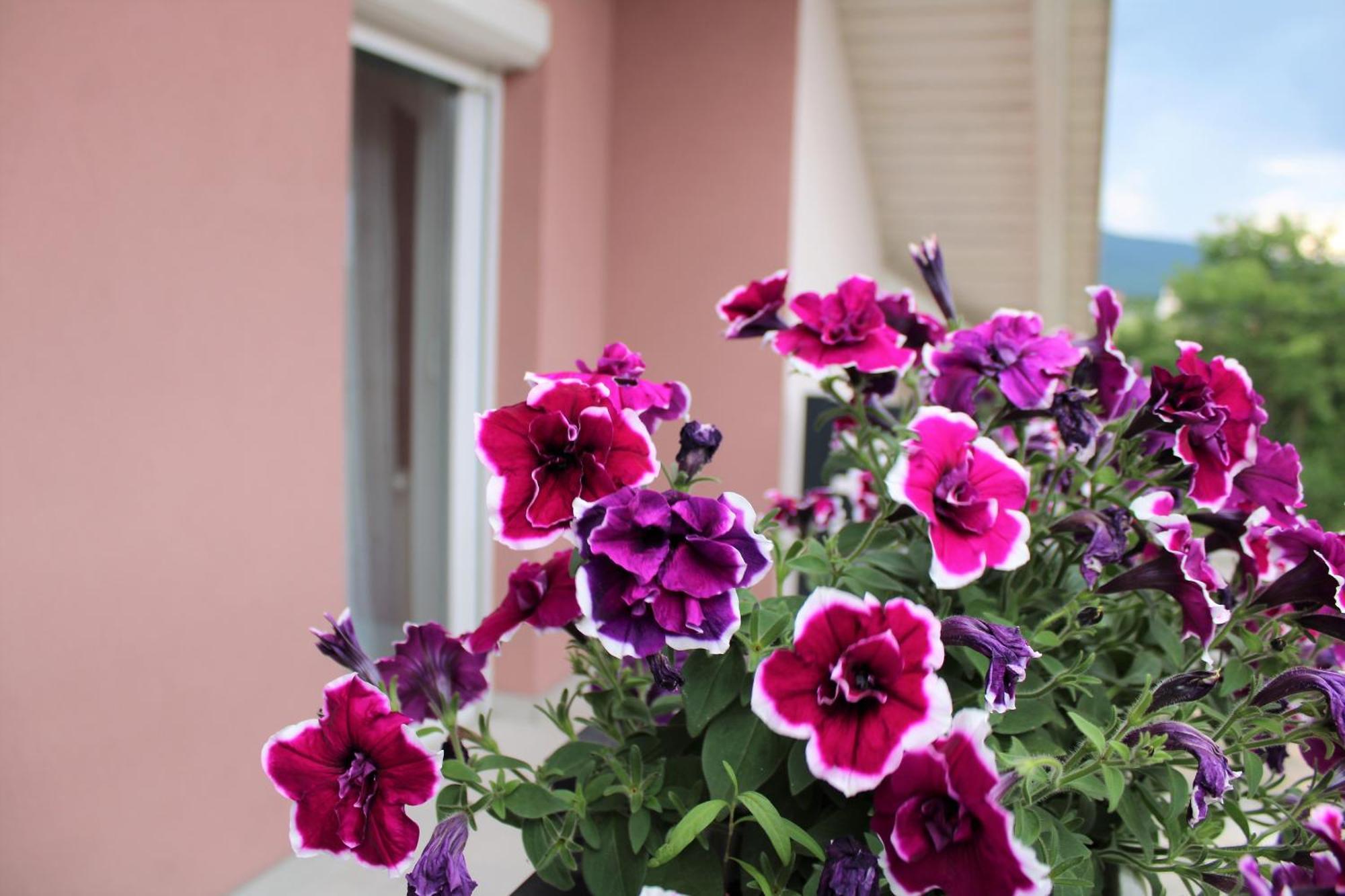 Apartman Swans Otočac Екстериор снимка